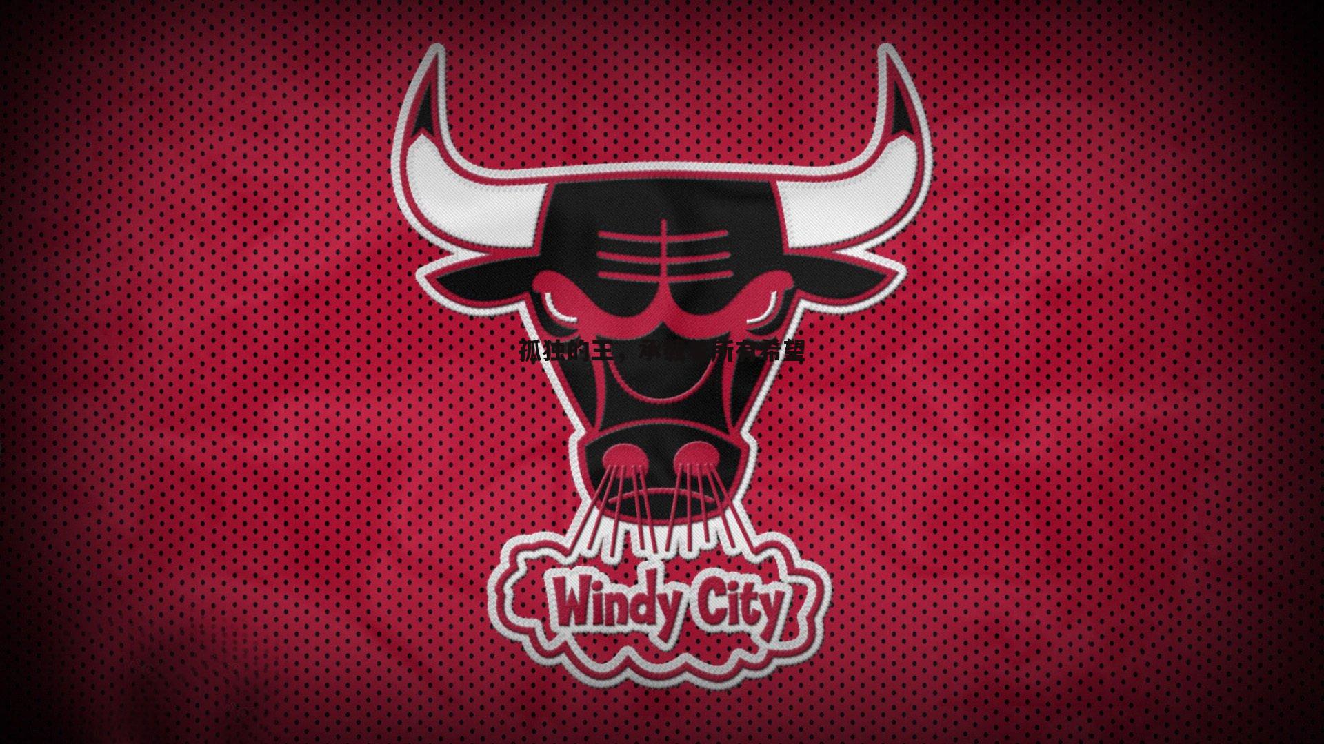 孤独的王，承载着所有希望