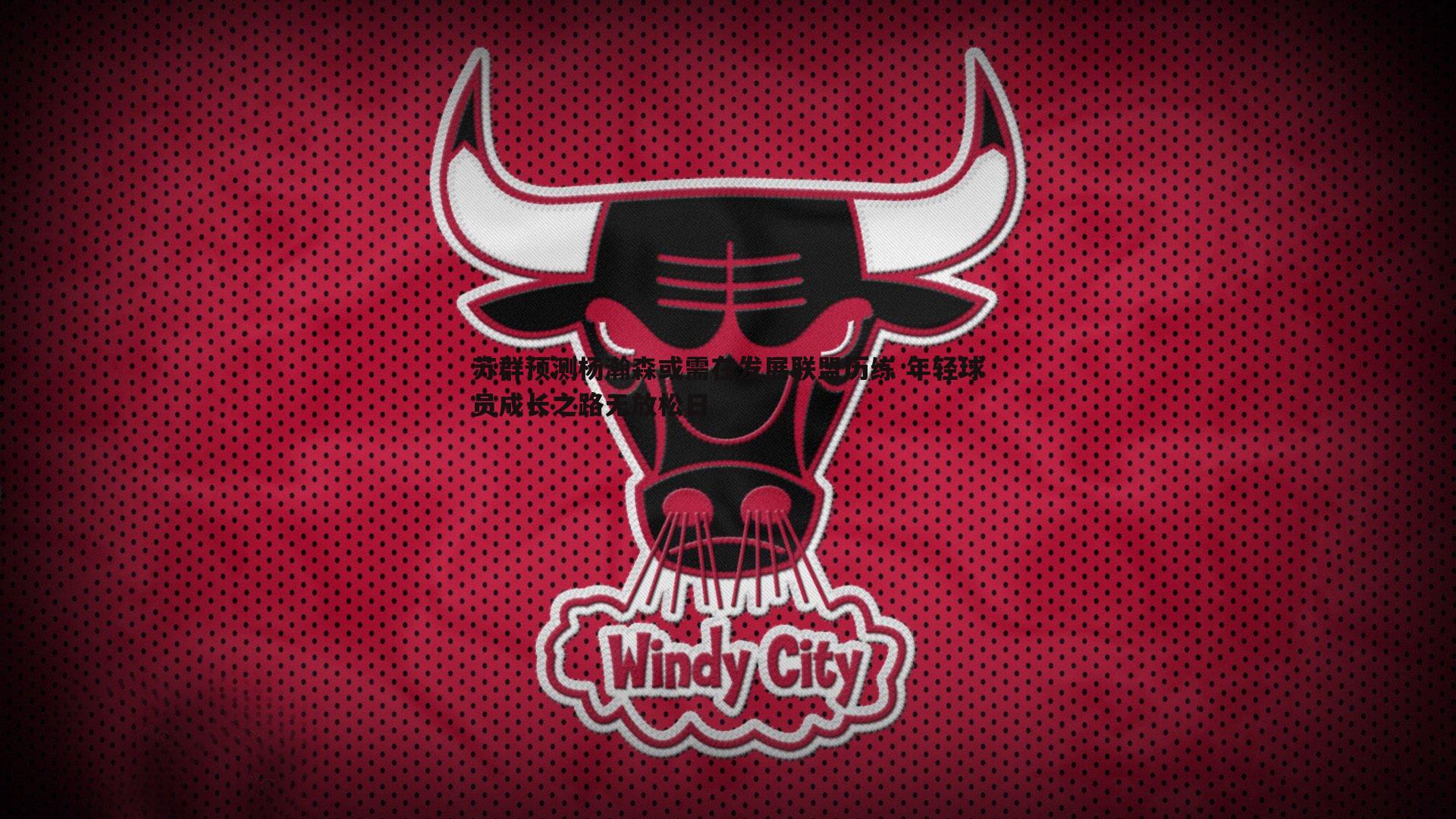 苏群预测杨瀚森或需在发展联盟历练 年轻球员成长之路无放松日